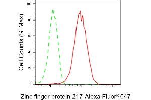 Flow cytometric analysis of Zinc finger protein 217 expression in HAP-1 cells using Zinc finger protein 217 antibody (ABIN7800894), 1:2,000). (Recombinant ZNF217 抗体)