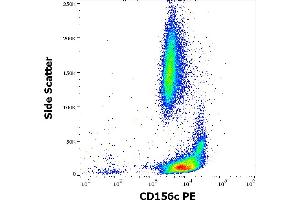 Flow cytometry surface staining pattern of human peripheral whole blood stained using anti-human CD156c (11G2) PE antibody (10 μL reagent / 100 μL of peripheral whole blood). (ADAM10 抗体  (PE))
