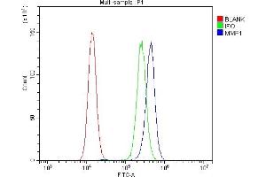 Flow Cytometry analysis of PC-3 cells using anti-MMP1 antibody (ABIN7599873). (MMP1 抗体  (AA 124-469))