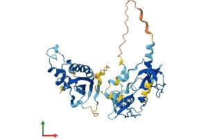 Protein Structure (PS) image for Neutrophil Cytosol Factor 1 (NCF1) (AA 1-390) protein (His tag) (ABIN7556930)