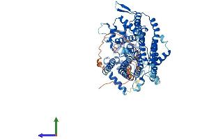 AlphaFold protein structure predicition of Human Recombinant LMF2 Protein, UniprotID Q9BU23