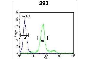 Flow Cytometry (FACS) image for anti-Collagen, Type XVIII, alpha 1 (COL18A1) (AA 237-263), (N-Term) antibody (ABIN652798)