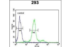 COL18A1 Antibody (N-term) (ABIN652798 and ABIN2842523) flow cytometric analysis of 293 cells (right histogram) compared to a negative control cell (left histogram). (COL18A1 抗体  (N-Term))