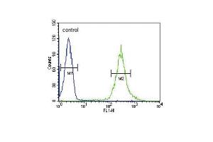 ST8SIA4 Antibody (Center) (ABIN653728 and ABIN2843035) flow cytometric analysis of HL-60 cells (right histogram) compared to a negative control cell (left histogram). (ST8SIA4 抗体  (AA 186-214))