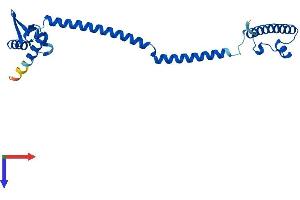 PSMC3IP Protein (AA 1-217) (His tag)