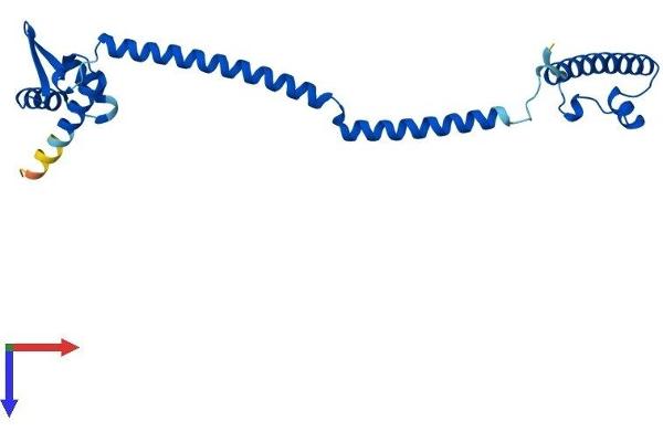 PSMC3IP Protein (AA 1-217) (His tag)
