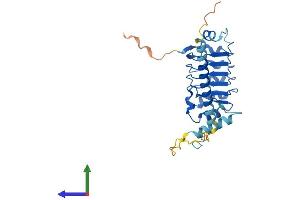 Protein Structure (PS) image for Leucine Rich Repeat Containing 61 (LRRC61) (AA 1-259) protein (His tag) (ABIN7549109)