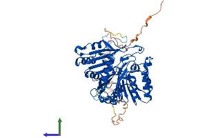 AlphaFold protein structure predicition of Mouse Recombinant Pld4 Protein, UniprotID Q8BG07