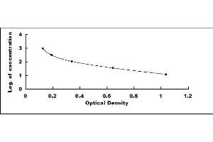 Typical standard curve (Activin B ELISA 试剂盒)