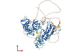 Protein Structure (PS) image for Scm-Like with Four Mbt Domains 1 (SFMBT1) (AA 1-866) protein (His tag) (ABIN7555576)