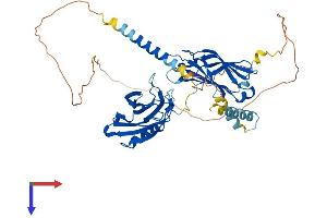 AlphaFold protein structure predicition of Human Recombinant SYT9 Protein, UniprotID Q86SS6
