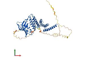 AlphaFold protein structure predicition of Human Recombinant FKBP8 Protein, UniprotID Q14318 (FKBP8 Protein (AA 1-412) (His tag))