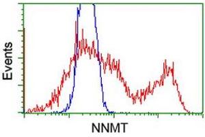 HEK293T cells transfected with either RC200641 overexpress plasmid (Red) or empty vector control plasmid (Blue) were immunostained by anti-NNMT antibody (ABIN2454302), and then analyzed by flow cytometry. (NNMT 抗体)