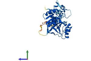 Protein Structure (PS) image for ST6 (Alpha-N-Acetyl-Neuraminyl-2,3-beta-Galactosyl-1,3)-N-Acetylgalactosaminide alpha-2,6-Sialyltransferase 4 (ST6GALNAC4) (AA 1-302) protein (His tag) (ABIN7546001)