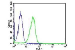Flow cytometric analysis of Hela cells using CN1 Antibody (green, Cat(ABIN6242895 and ABIN6577068)) compared to an isotype control of mouse IgG1(blue). (CAPNL1 抗体  (AA 1-420))