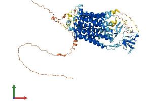 Protein Structure (PS) image for Solute Carrier Organic Anion Transporter Family, Member 6A1 (SLCO6A1) (AA 1-719) protein (His tag) (ABIN7546218)