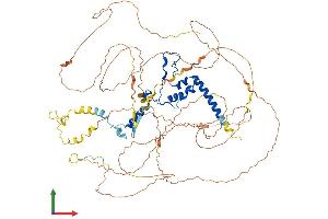 AlphaFold protein structure predicition of Human Recombinant DNTTIP2 Protein, UniprotID Q5QJE6