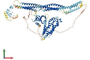 Protein Structure (PS) image for MCF.2 Cell Line Derived Transforming Sequence (MCF2) (AA 1-925) protein (His tag) (ABIN7554492)