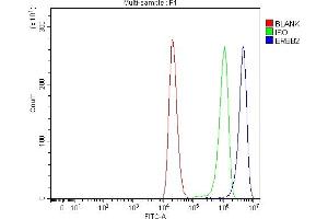 Flow Cytometry analysis of 293T cells using anti-HER2/ERBB2 antibody (ABIN7602717).