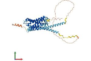 Protein Structure (PS) image for Histamine Receptor H3 (HRH3) (AA 1-445) protein (His tag) (ABIN7548312)