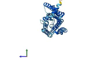Protein Structure (PS) image for Olfactory Receptor, Family 4, Subfamily D, Member 2 (OR4D2) (AA 1-307) protein (His tag) (ABIN7550309)