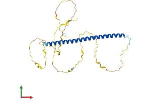 AlphaFold protein structure predicition of Mouse Recombinant Fosl1 Protein, UniprotID P48755