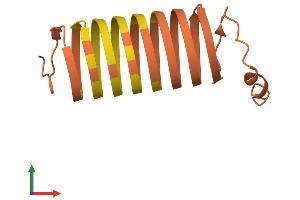 Protein Structure (PS) image for Keratin Associated Protein 6-2 (KRTAP6-2) (AA 1-159) protein (His tag) (ABIN7562218)