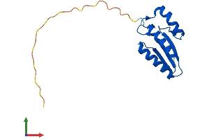 Protein Structure (PS) image for Pterin-4 alpha-Carbinolamine Dehydratase/dimerization Cofactor of Hepatocyte Nuclear Factor 1 alpha (TCF1) 2 (PCBD2) (AA 1-136) protein (His tag) (ABIN7560794)