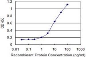 Detection limit for recombinant GST tagged TBCC is 0. (TBCC 抗体  (AA 1-346))