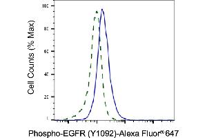 Validation of EGFR knockdown using flow cytometry. (Recombinant EGFR 抗体  (pTyr1068))