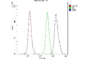 Flow Cytometry analysis of A431 cells using anti-NRF1 antibody (ABIN6719347).