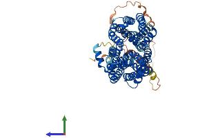 Protein Structure (PS) image for Spinster Homolog 2 (SPNS2) (AA 1-549) protein (His tag) (ABIN7559994)