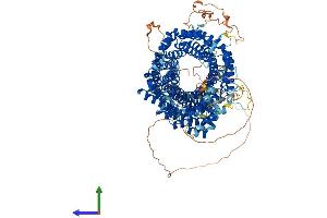 Protein Structure (PS) image for HEAT Repeat Containing 6 (HEATR6) (AA 1-1181) protein (His tag) (ABIN7554078)