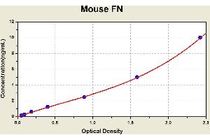 Fibronectin (FN) ELISA Kit