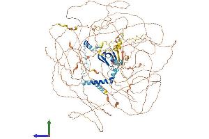 Protein Structure (PS) image for Ataxin 2 (ATXN2) (AA 1-1285) protein (His tag) (ABIN7562532)