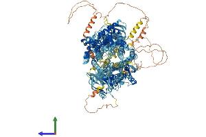 Protein Structure (PS) image for Cystic Fibrosis Transmembrane Conductance Regulator (ATP-Binding Cassette Sub-Family C, Member 7) (CFTR) (AA 1-1476) protein (His tag) (ABIN7563018)