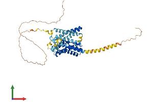 Protein Structure (PS) image for Solute Carrier Family 10 (Sodium/bile Acid Cotransporter Family), Member 4 (SLC10A4) (AA 1-437) protein (His tag) (ABIN7557173)