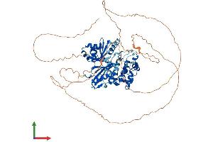 AlphaFold protein structure predicition of Human Recombinant MARK3 Protein, UniprotID P27448