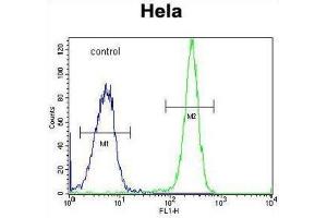 Flow Cytometry (FACS) image for anti-Hyaluronidase-2 (HYAL2) antibody (ABIN2995807) (HYAL2 抗体)