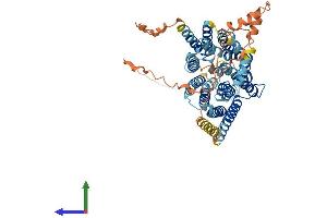 Protein Structure (PS) image for Solute Carrier Family 19 (Folate Transporter), Member 1 (SLC19A1) (AA 1-591) protein (His tag) (ABIN7555344)