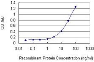 Detection limit for recombinant GST tagged IFNA1 is 0. (IFNA1 抗体  (AA 24-133))