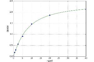 A typical standard curve (Prokineticin Receptor 1 ELISA 试剂盒)