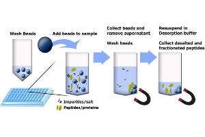 Principle using MagSi-WAX beads.