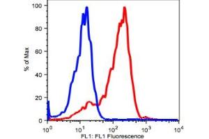 Image no. 2 for anti-CD38 antibody (FITC) (ABIN2704260) (CD38 抗体  (FITC))