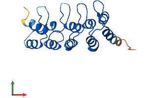 Protein Structure (PS) image for Cyclin-Dependent Kinase Inhibitor 2C (p18, Inhibits CDK4) (CDKN2C) (AA 1-168) protein (His tag) (ABIN7553405)