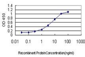 Detection limit for recombinant GST tagged ACOT11 is approximately 0. (ACOT11 抗体  (AA 1-110))