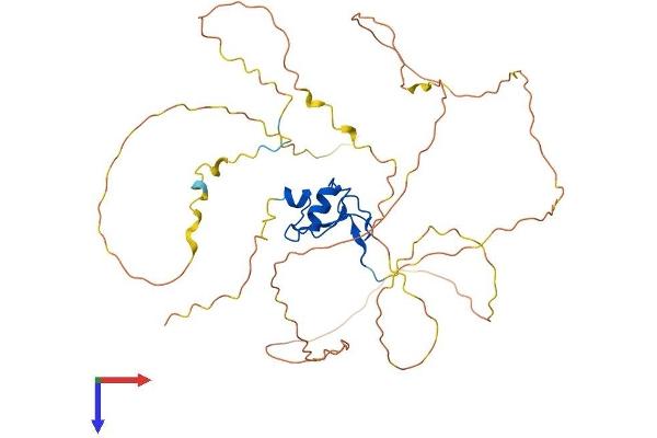 PYGO1 Protein (AA 1-417) (His tag)