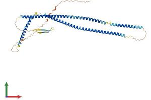Protein Structure (PS) image for Keratin 23 (KRT23) (AA 1-422) protein (His tag) (ABIN7548594)