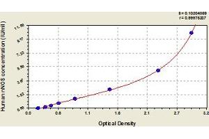 Nitric Oxide Synthase 1, Neuronal (NOS1) ELISA Kit