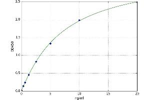 Phospholipase C gamma 2 (PLCG2) ELISA Kit